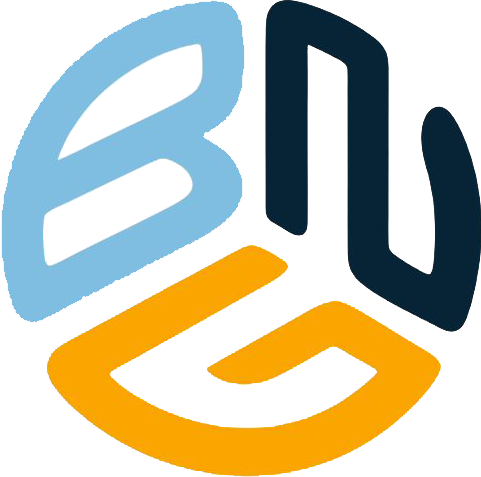 Logo BNG CPA